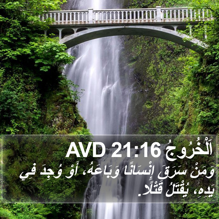 اَلْخُرُوجُ 21:16 AVD Bible Study