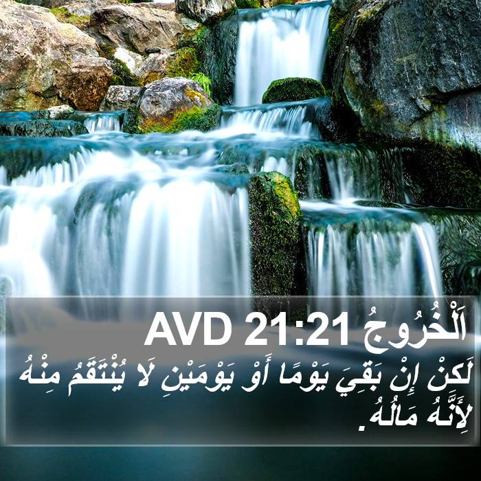 اَلْخُرُوجُ 21:21 AVD Bible Study