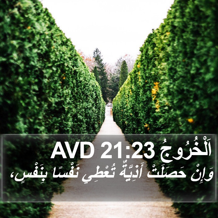 اَلْخُرُوجُ 21:23 AVD Bible Study