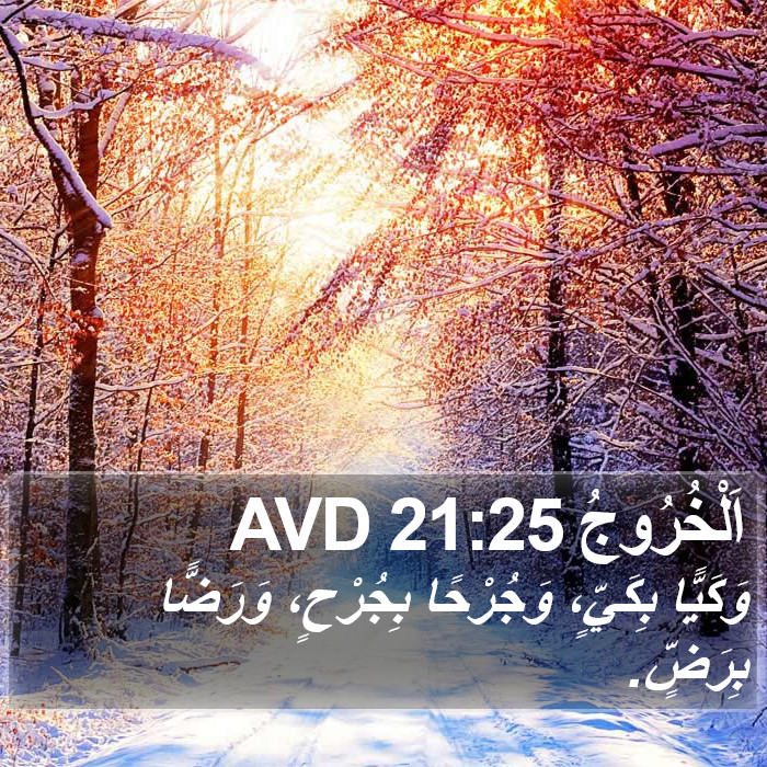 اَلْخُرُوجُ 21:25 AVD Bible Study