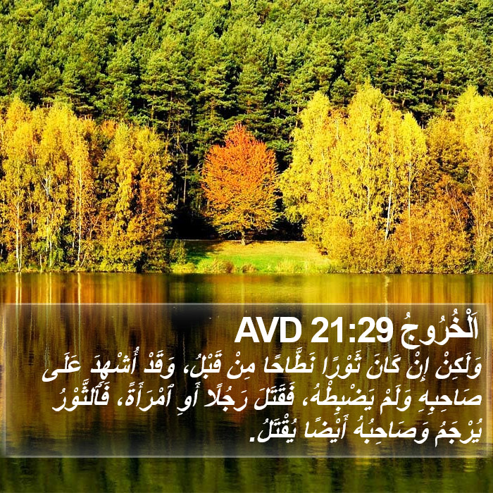 اَلْخُرُوجُ 21:29 AVD Bible Study