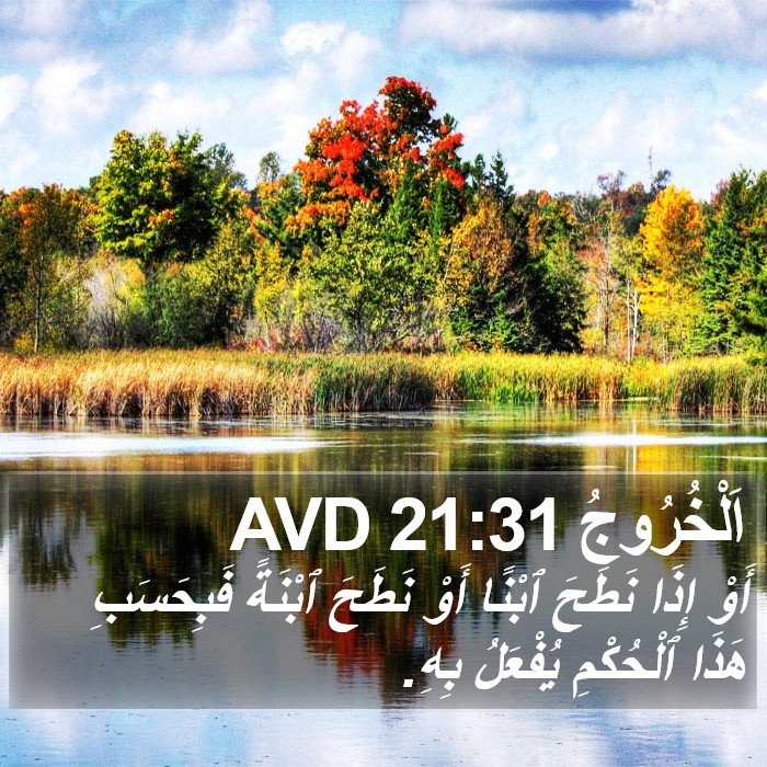 اَلْخُرُوجُ 21:31 AVD Bible Study