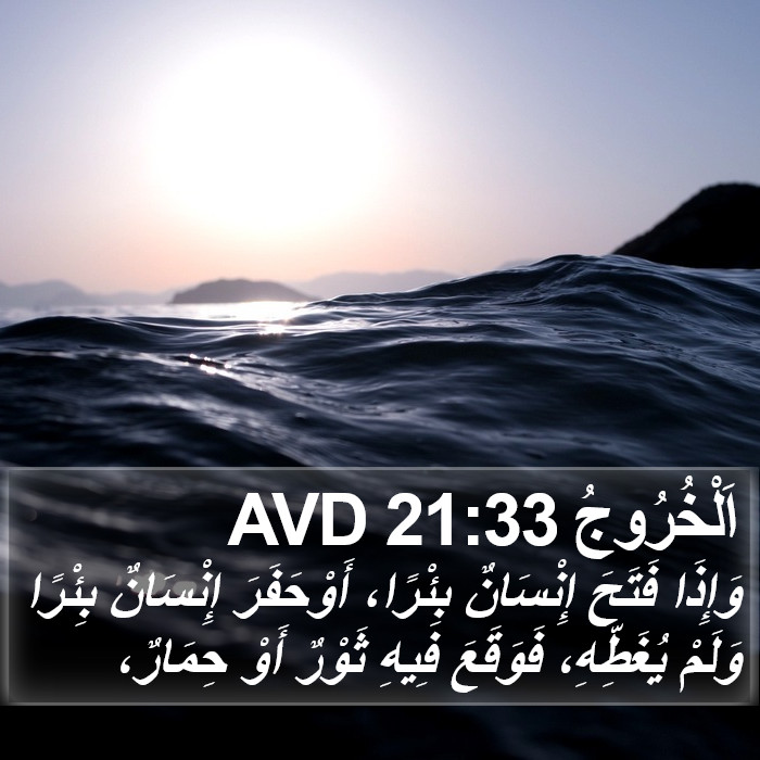 اَلْخُرُوجُ 21:33 AVD Bible Study