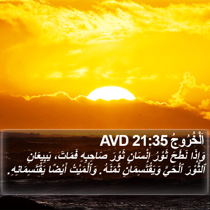 اَلْخُرُوجُ 21:35 AVD Bible Study