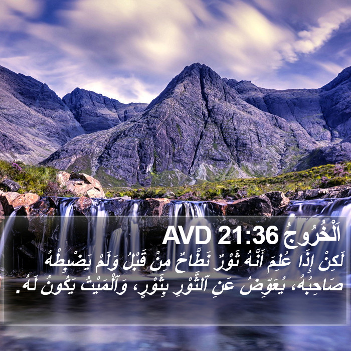 اَلْخُرُوجُ 21:36 AVD Bible Study