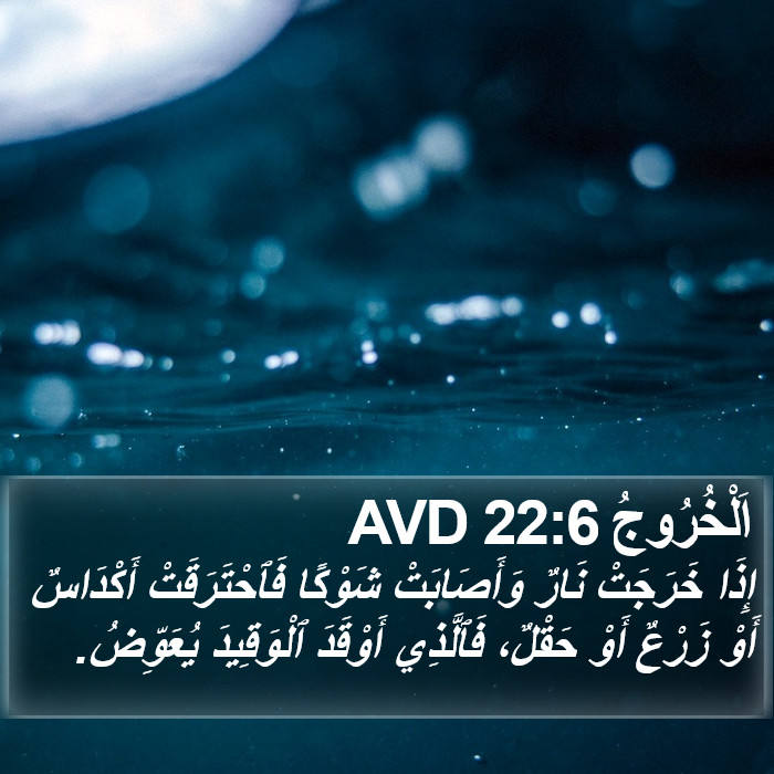 اَلْخُرُوجُ 22:6 AVD Bible Study