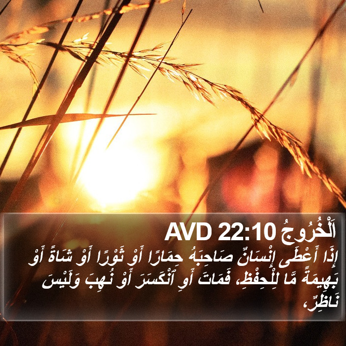 اَلْخُرُوجُ 22:10 AVD Bible Study