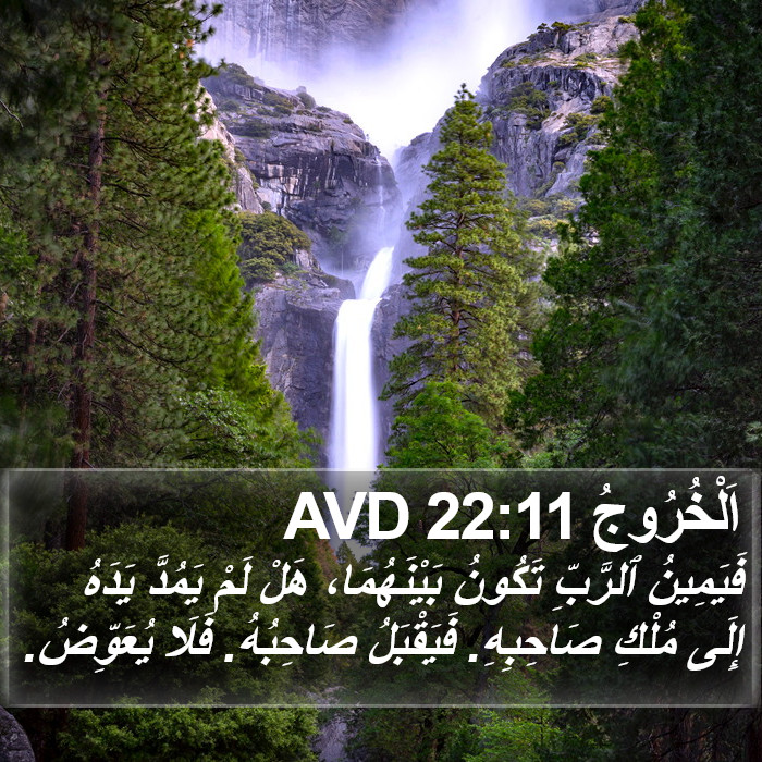 اَلْخُرُوجُ 22:11 AVD Bible Study