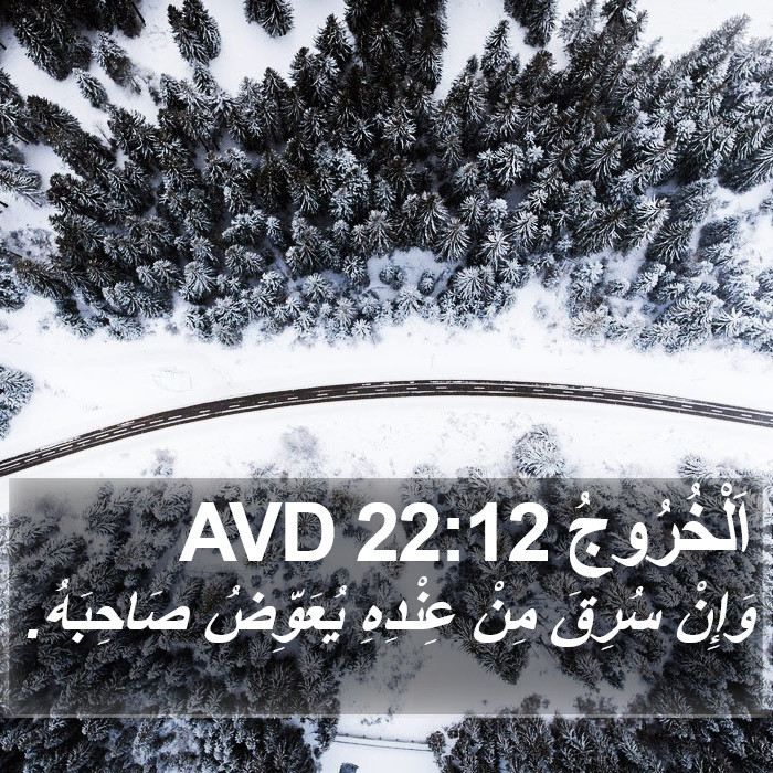 اَلْخُرُوجُ 22:12 AVD Bible Study