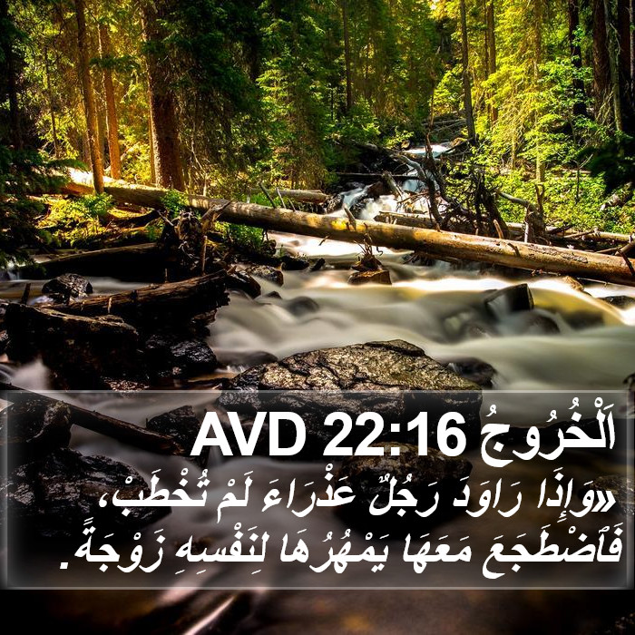 اَلْخُرُوجُ 22:16 AVD Bible Study
