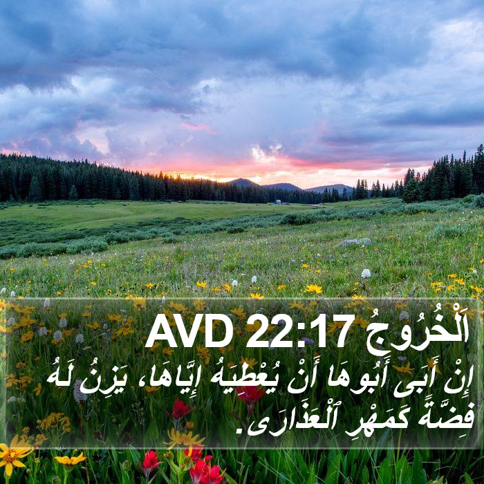 اَلْخُرُوجُ 22:17 AVD Bible Study