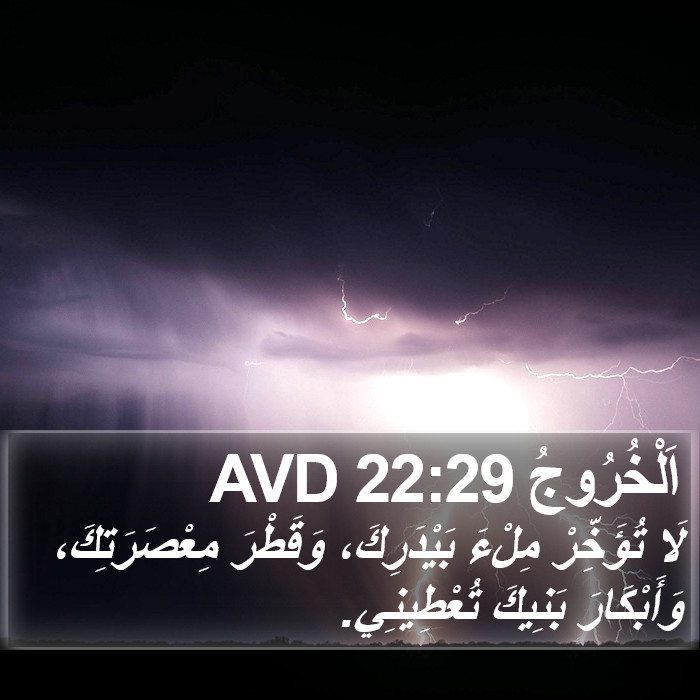 اَلْخُرُوجُ 22:29 AVD Bible Study