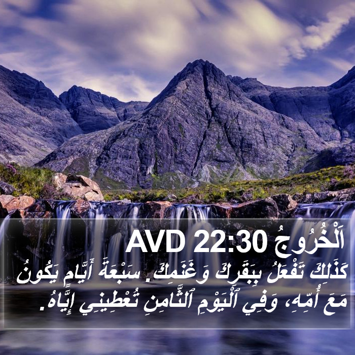 اَلْخُرُوجُ 22:30 AVD Bible Study