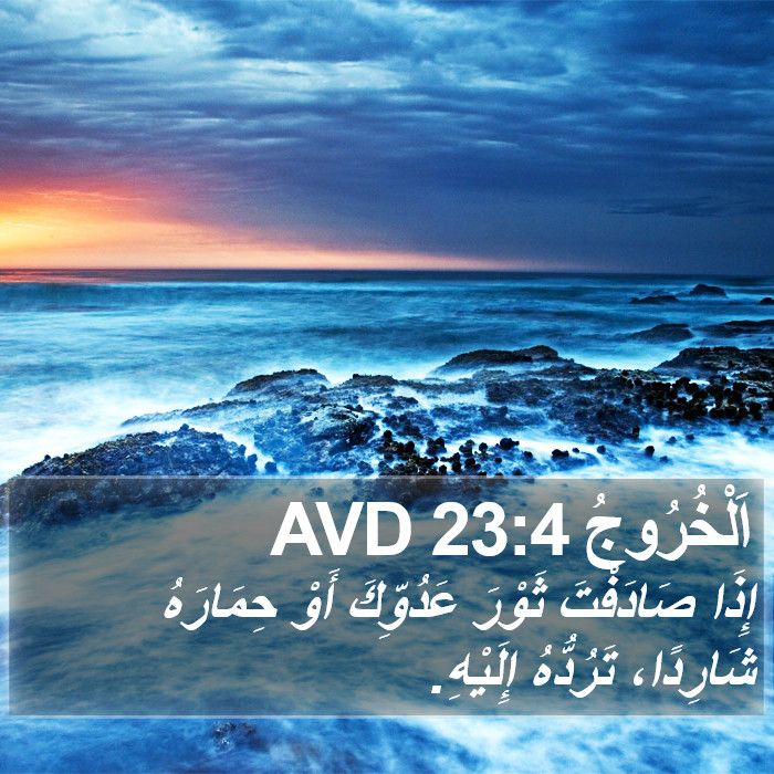 اَلْخُرُوجُ 23:4 AVD Bible Study