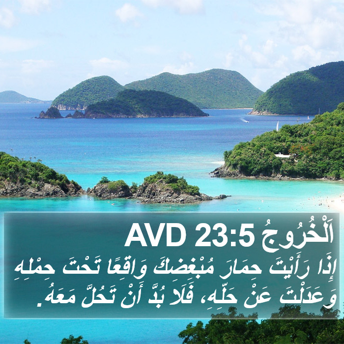 اَلْخُرُوجُ 23:5 AVD Bible Study