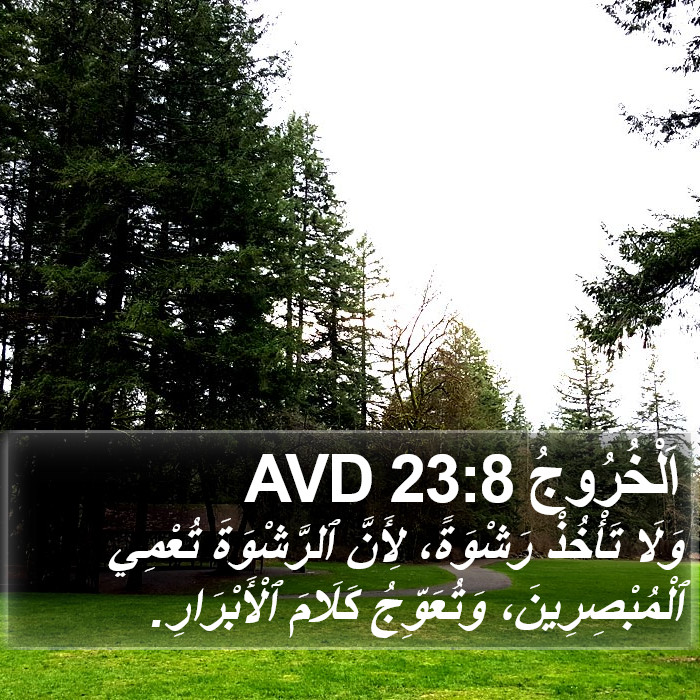 اَلْخُرُوجُ 23:8 AVD Bible Study