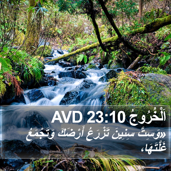 اَلْخُرُوجُ 23:10 AVD Bible Study