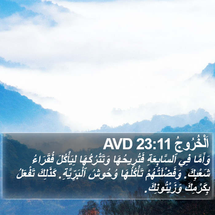 اَلْخُرُوجُ 23:11 AVD Bible Study