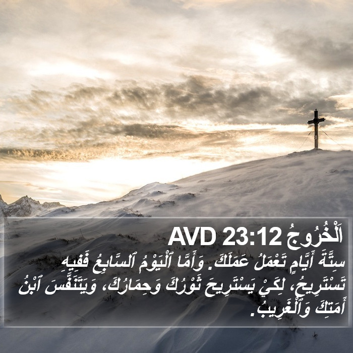 اَلْخُرُوجُ 23:12 AVD Bible Study