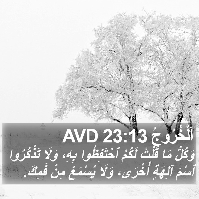 اَلْخُرُوجُ 23:13 AVD Bible Study