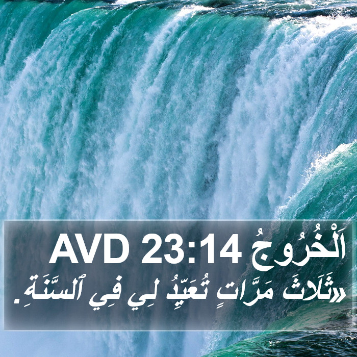 اَلْخُرُوجُ 23:14 AVD Bible Study