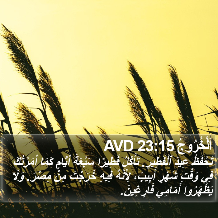 اَلْخُرُوجُ 23:15 AVD Bible Study