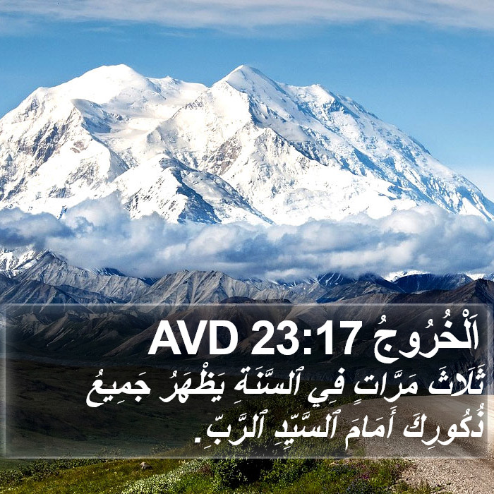 اَلْخُرُوجُ 23:17 AVD Bible Study