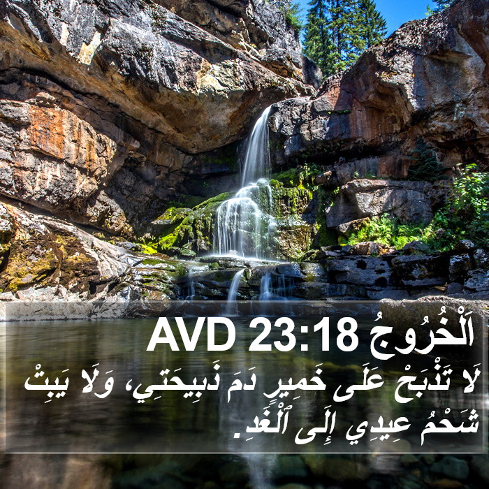 اَلْخُرُوجُ 23:18 AVD Bible Study