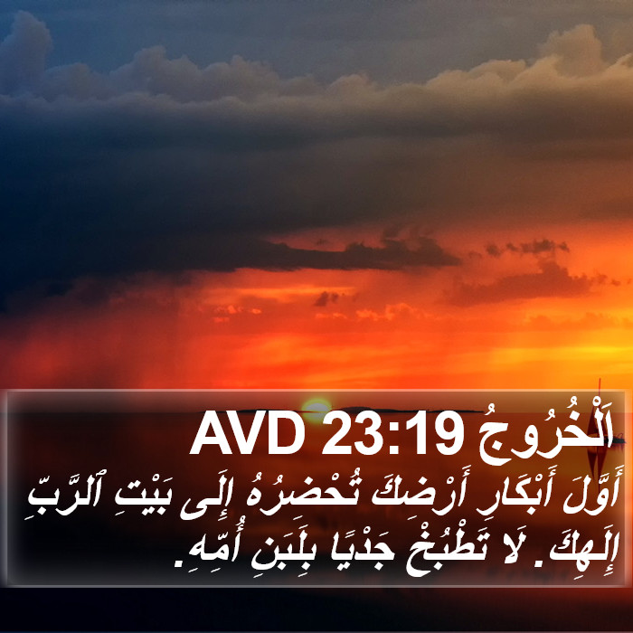 اَلْخُرُوجُ 23:19 AVD Bible Study