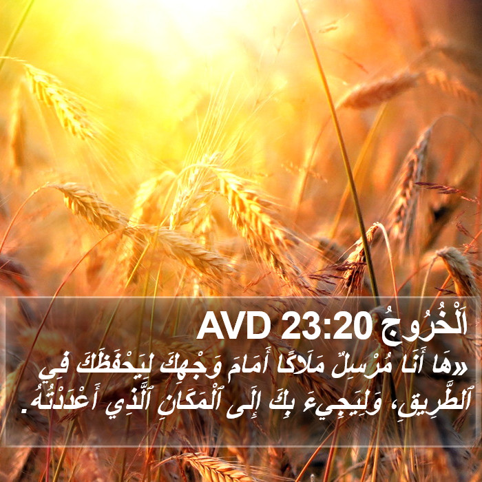 اَلْخُرُوجُ 23:20 AVD Bible Study