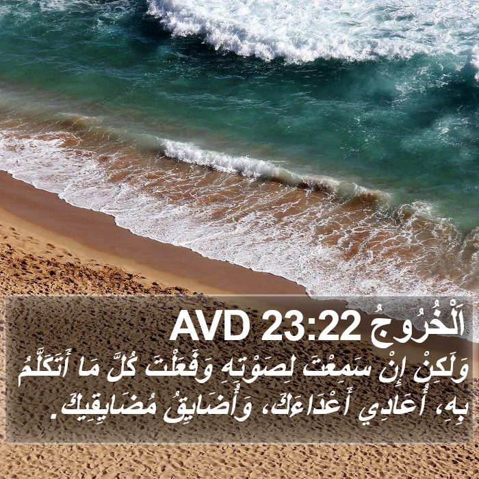 اَلْخُرُوجُ 23:22 AVD Bible Study