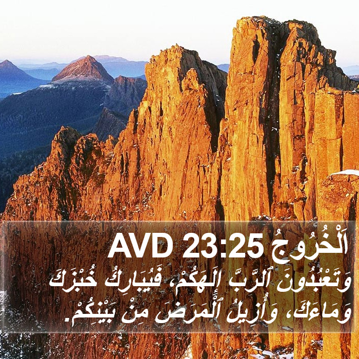 اَلْخُرُوجُ 23:25 AVD Bible Study