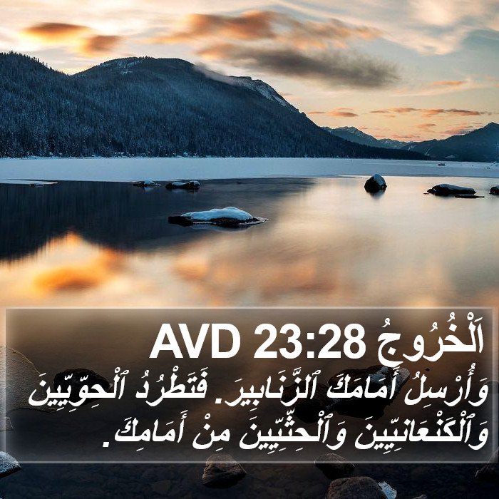 اَلْخُرُوجُ 23:28 AVD Bible Study