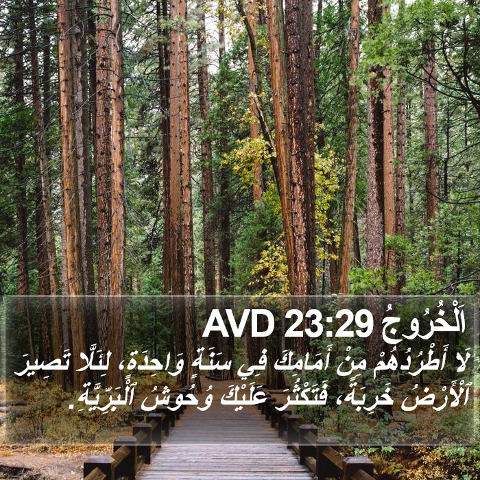 اَلْخُرُوجُ 23:29 AVD Bible Study