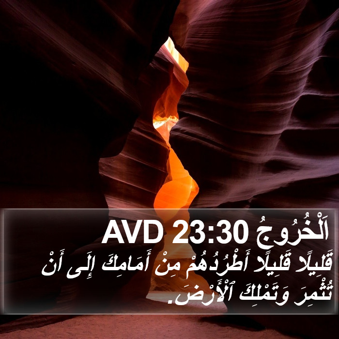 اَلْخُرُوجُ 23:30 AVD Bible Study