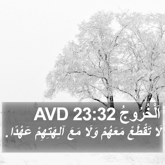 اَلْخُرُوجُ 23:32 AVD Bible Study