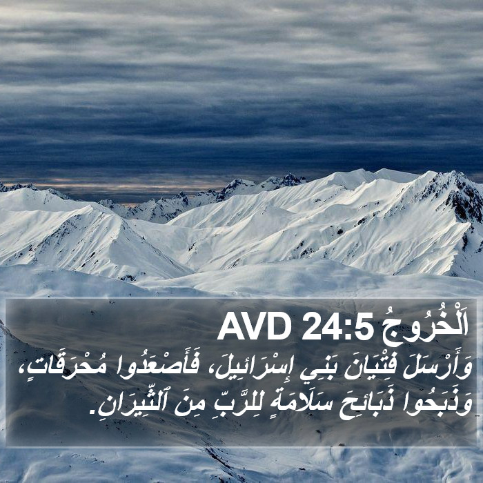 اَلْخُرُوجُ 24:5 AVD Bible Study