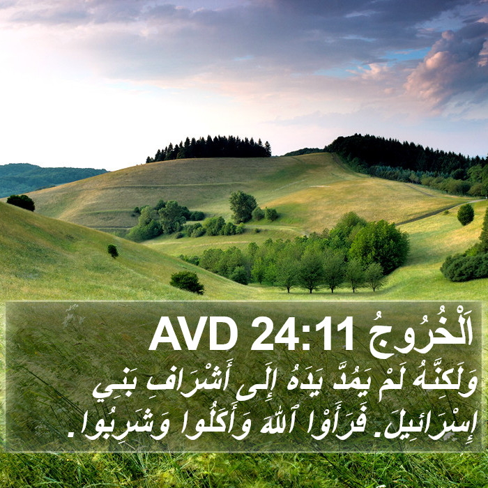 اَلْخُرُوجُ 24:11 AVD Bible Study