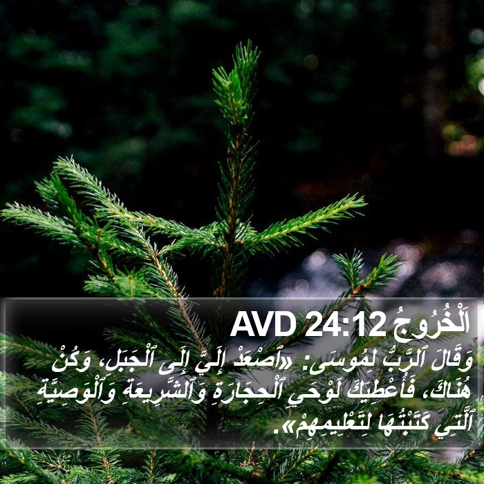 اَلْخُرُوجُ 24:12 AVD Bible Study