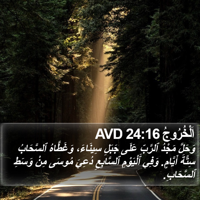 اَلْخُرُوجُ 24:16 AVD Bible Study