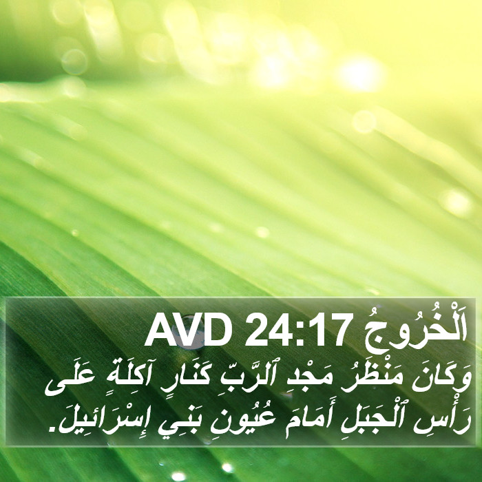 اَلْخُرُوجُ 24:17 AVD Bible Study