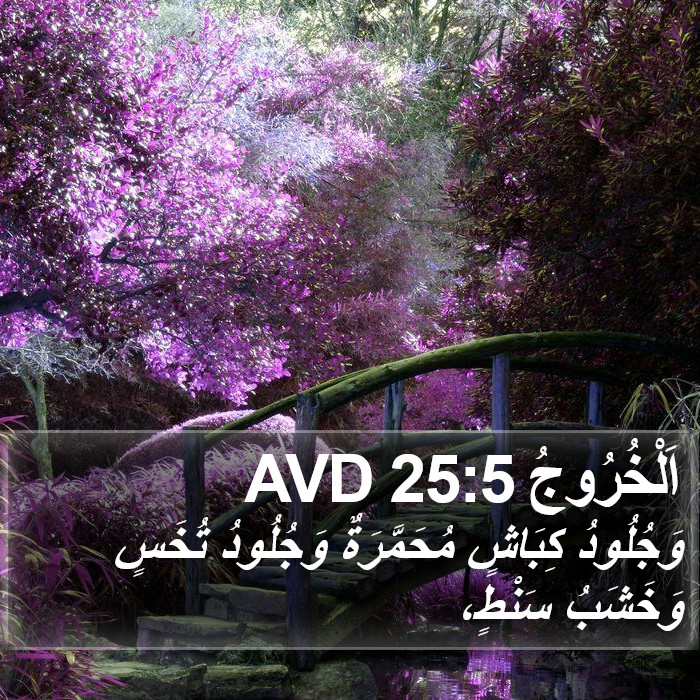 اَلْخُرُوجُ 25:5 AVD Bible Study