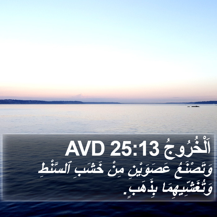 اَلْخُرُوجُ 25:13 AVD Bible Study