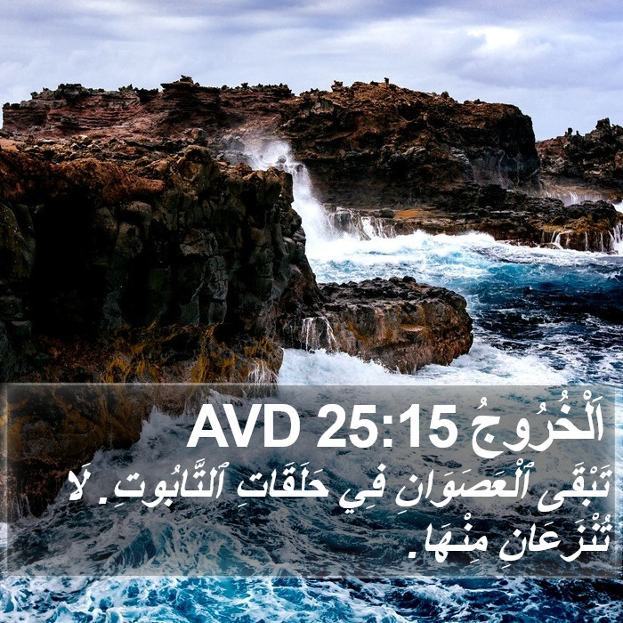 اَلْخُرُوجُ 25:15 AVD Bible Study