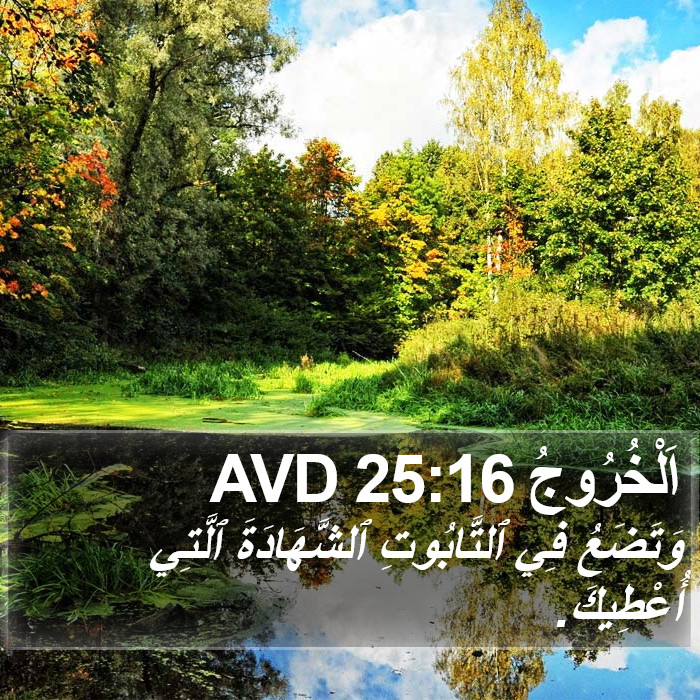 اَلْخُرُوجُ 25:16 AVD Bible Study