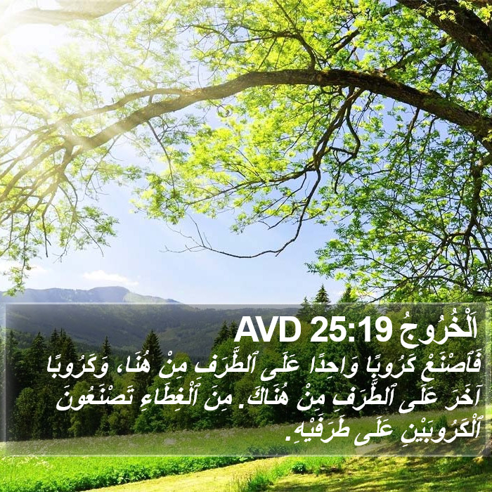 اَلْخُرُوجُ 25:19 AVD Bible Study