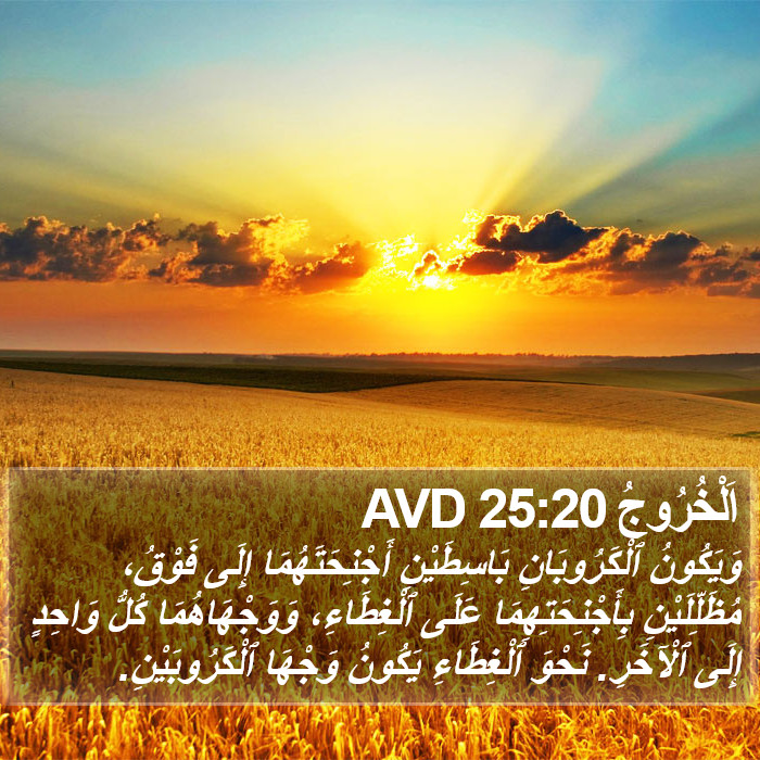 اَلْخُرُوجُ 25:20 AVD Bible Study