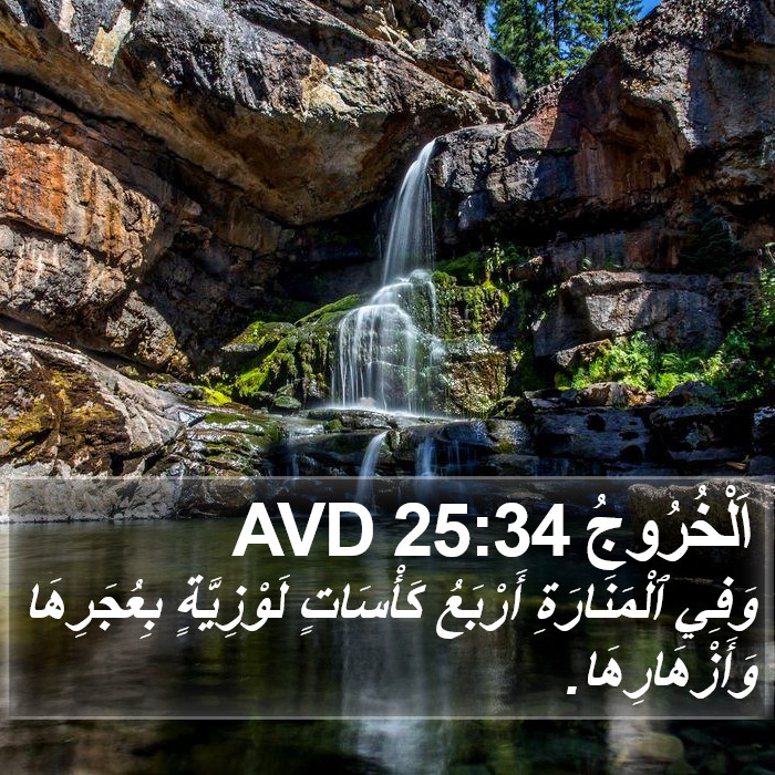 اَلْخُرُوجُ 25:34 AVD Bible Study