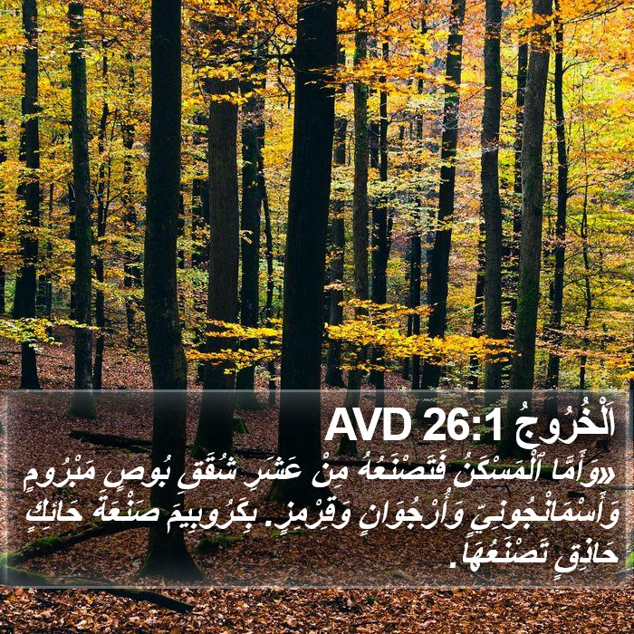 اَلْخُرُوجُ 26:1 AVD Bible Study