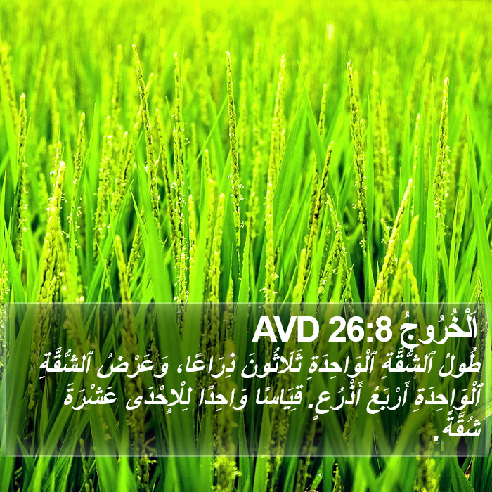 اَلْخُرُوجُ 26:8 AVD Bible Study